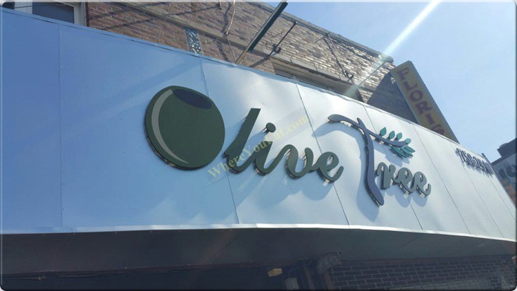 Olive Tree