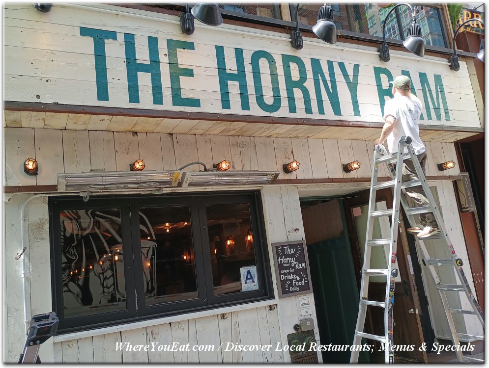 The Horny Ram