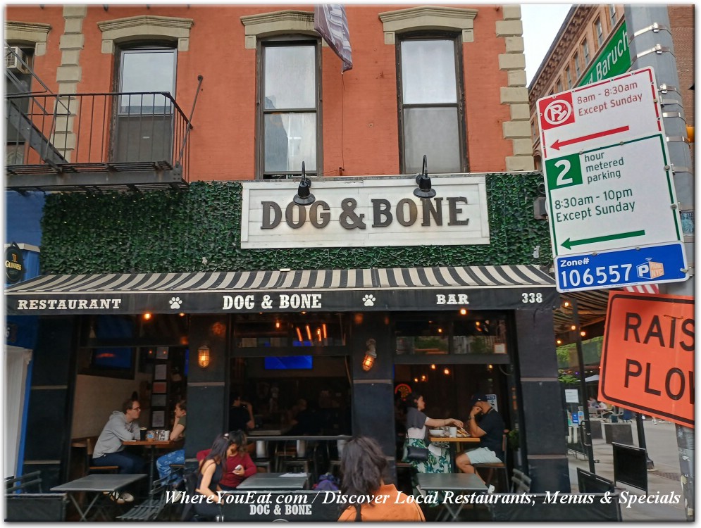 Dog & Bone