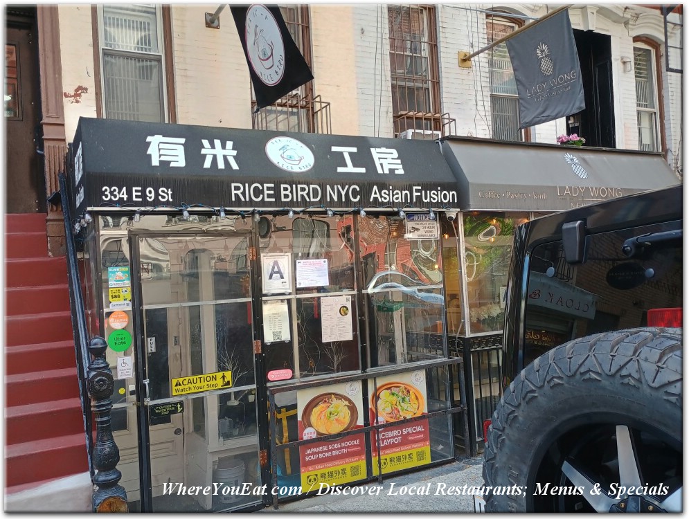 Rice Bird NYC